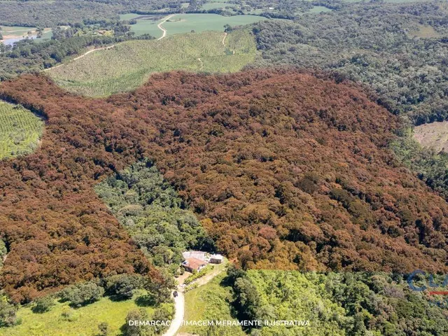 Casa à venda, no bairro Itaqui De Cima em Campo Largo