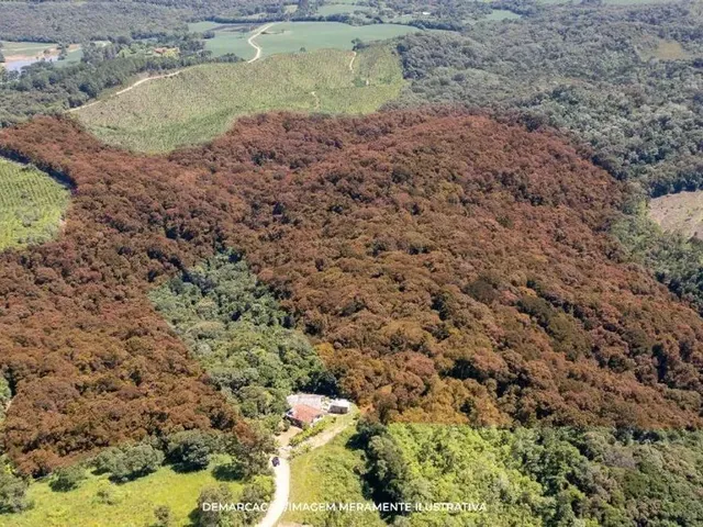 Casa à venda, no bairro Itaqui De Cima em Campo Largo