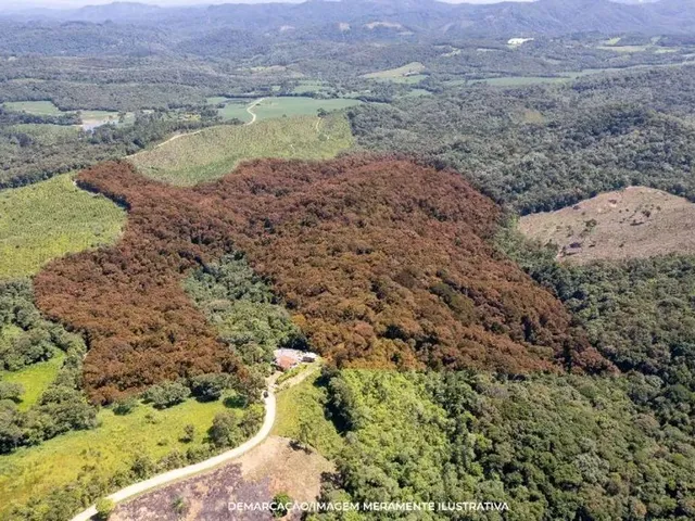 Casa à venda, no bairro Itaqui De Cima em Campo Largo