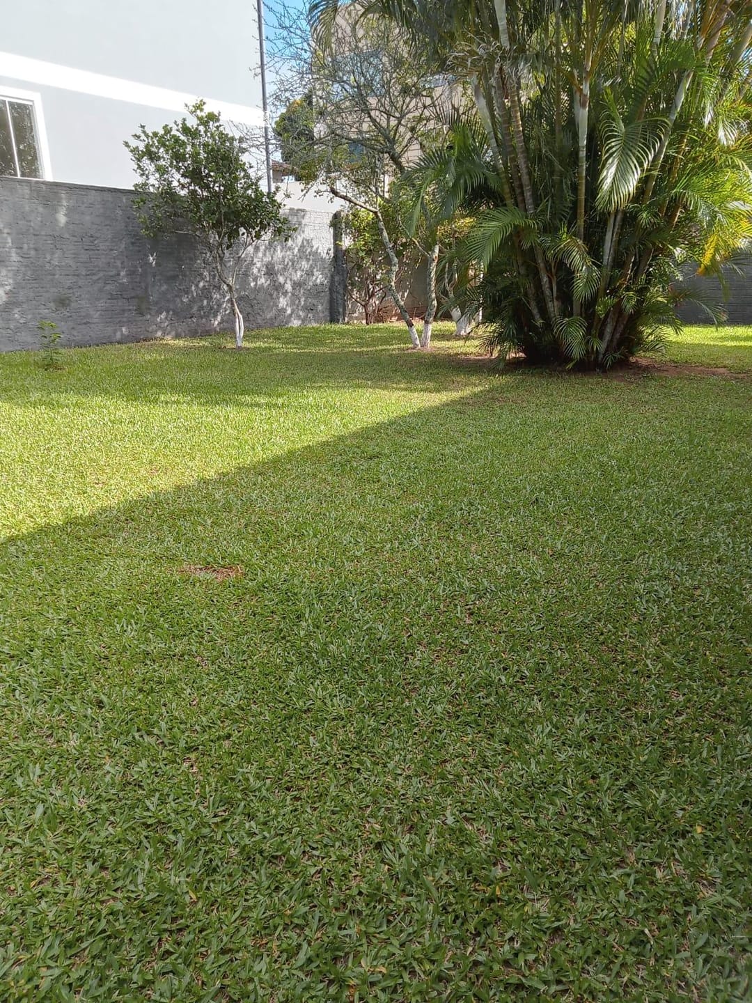 Casa, 1 quarto, 135 m² - Foto 10