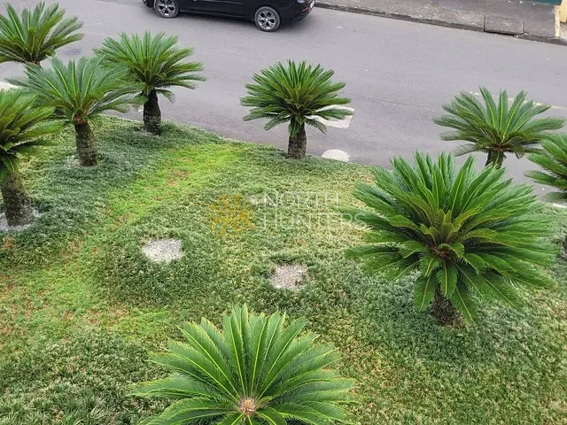 Casa com 220m² 6 quartos e 4 banheiros, à venda, no bairro Petrópolis em Joinville