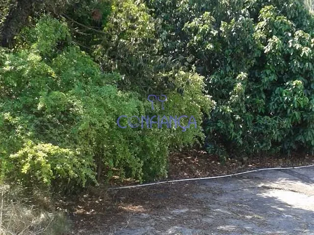 Casa com 120m² 3 quartos e 1 banheiro, à venda, no bairro Pedra de Guaratiba em Rio de Janeiro