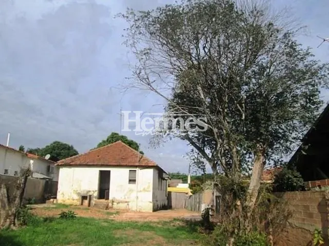 Casa com 552m² 3 quartos e 2 banheiros, à venda, no bairro Jardim dos Calegaris em Paulínia