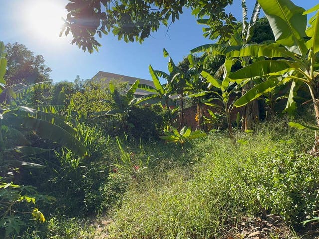Casa com 929m² 3 quartos e 1 banheiro, à venda, no bairro Cidade Satélite Íris em Campinas