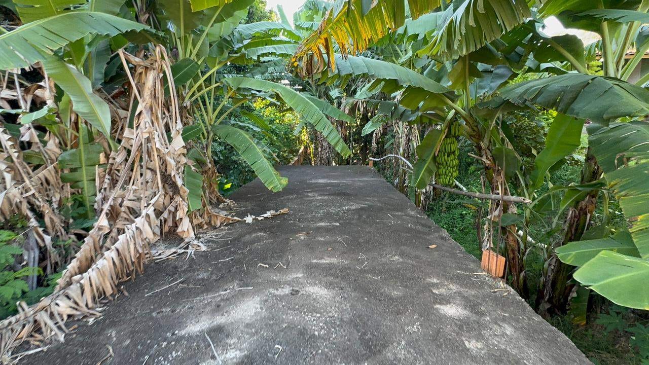 Casa, 3 quartos, 929 m² - Foto 3