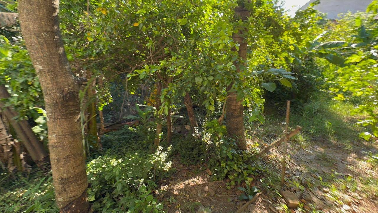 Casa, 3 quartos, 929 m² - Foto 6