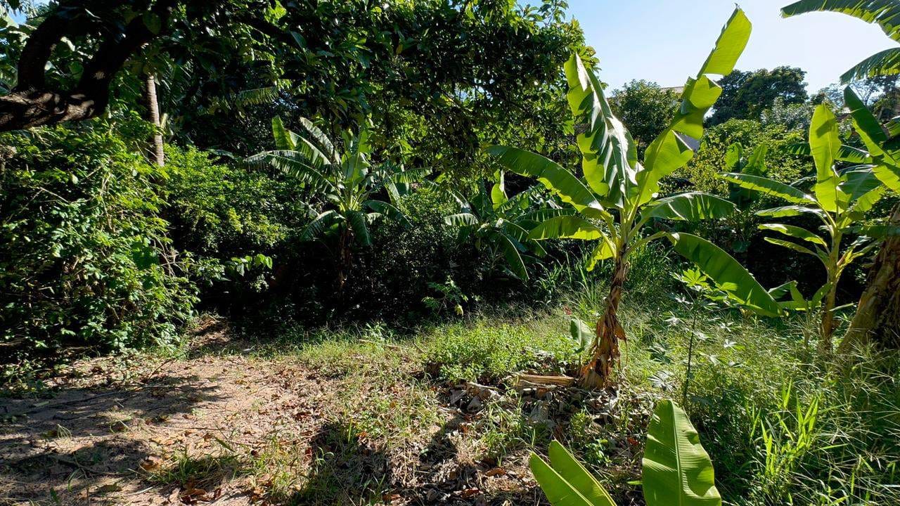 Casa, 3 quartos, 929 m² - Foto 7