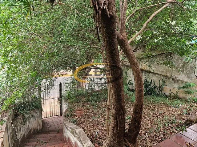 Terreno com 408m², à venda, no bairro Guanabara em Londrina