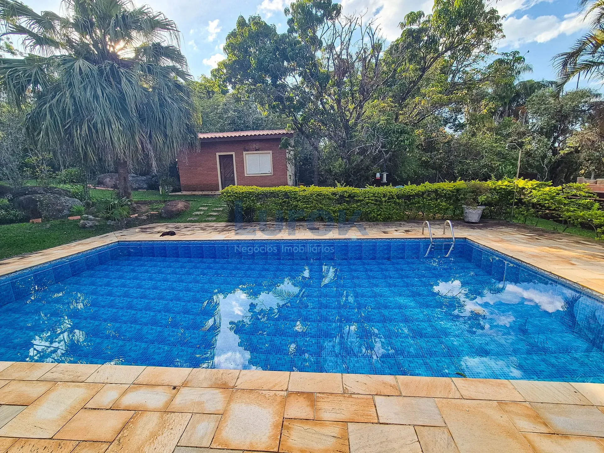 Casa, 3 quartos, 600 m² - Foto 6