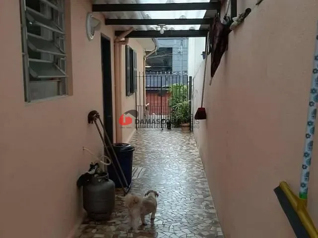 Casa com 4035m² 4 quartos e 3 banheiros, à venda, no bairro Barcelona em São Caetano do Sul