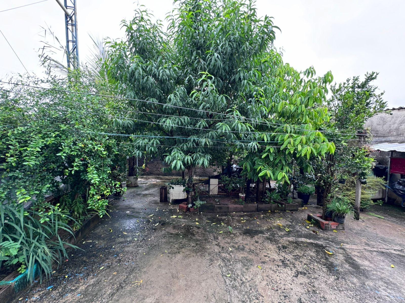 Casa, 1 quarto, 250 m² - Foto 15