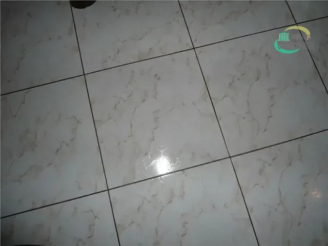 Casa com 250m² 3 quartos e 3 banheiros, à venda, no bairro Jardim Chapadão em Campinas