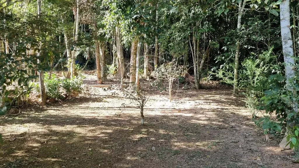 Casa, 3 quartos, 350 m² - Foto 13