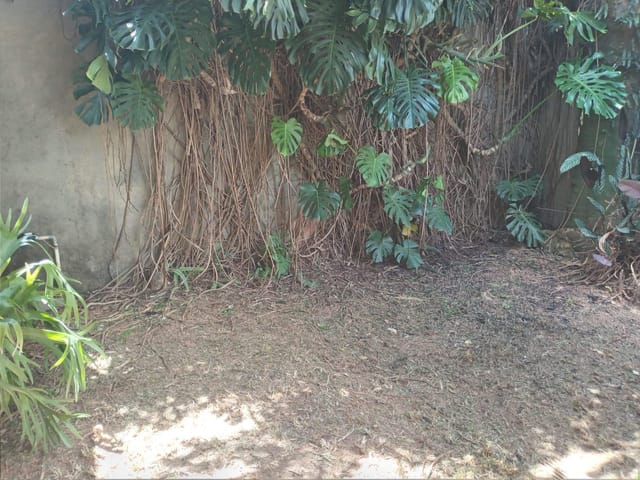 Casa com 721m² 5 quartos e 4 banheiros, à venda, no bairro Centro em São João da Boa Vista