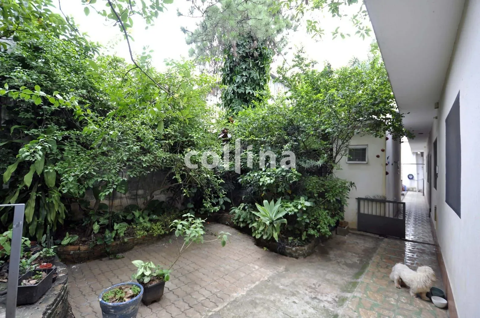 Casa, 5 quartos, 359 m² - Foto 22