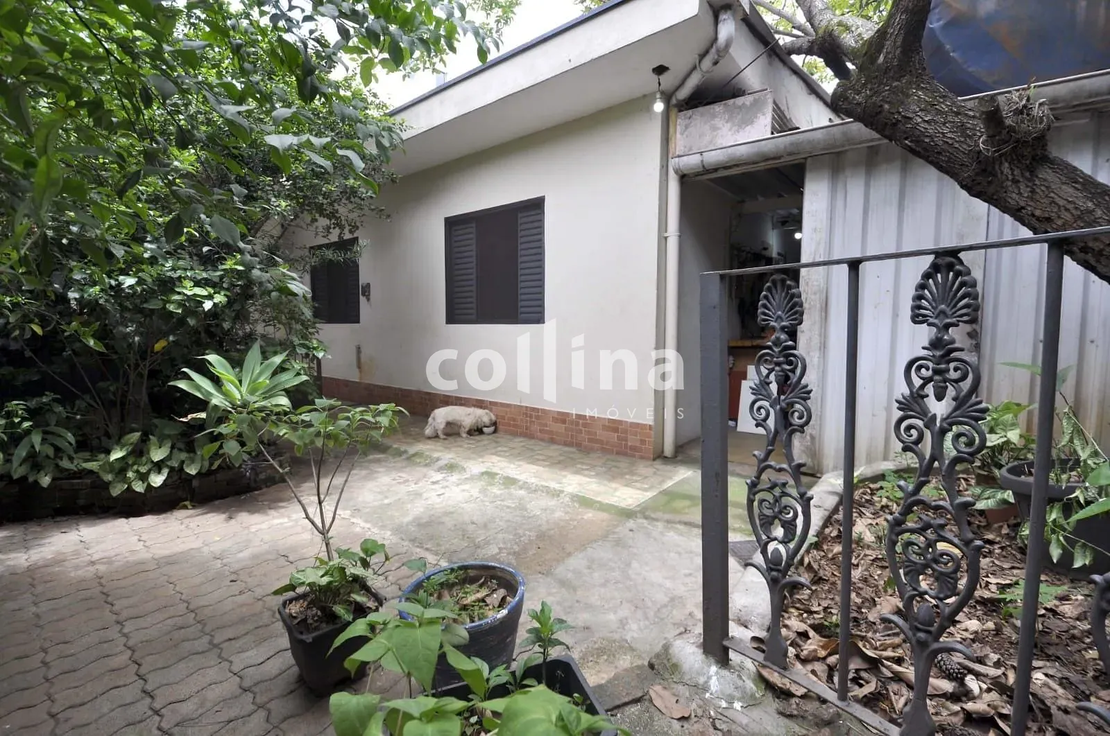 Casa, 5 quartos, 359 m² - Foto 24