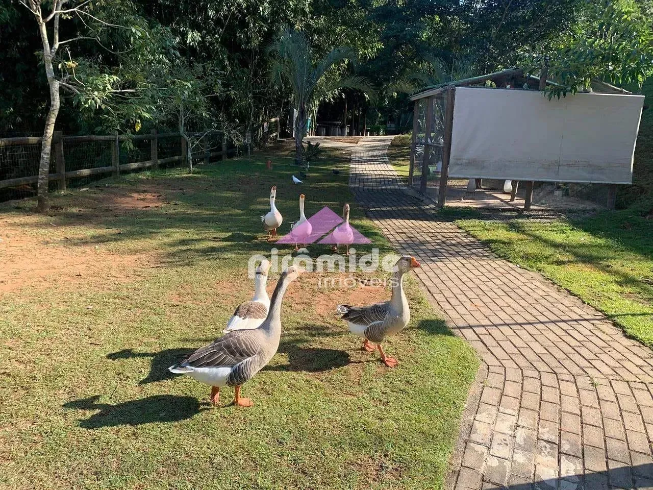 Casa, 3 quartos, 240 m² - Foto 13