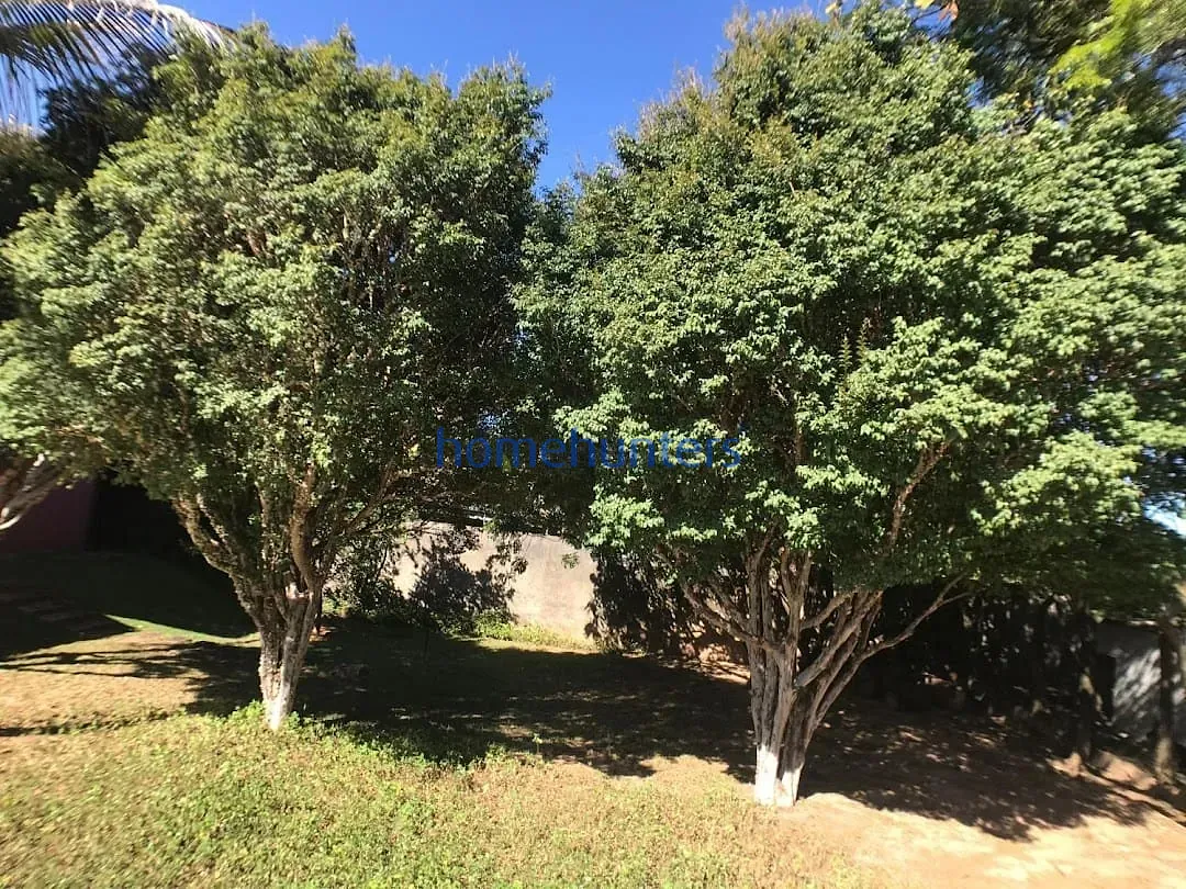 Casa, 4 quartos, 410 m² - Foto 28