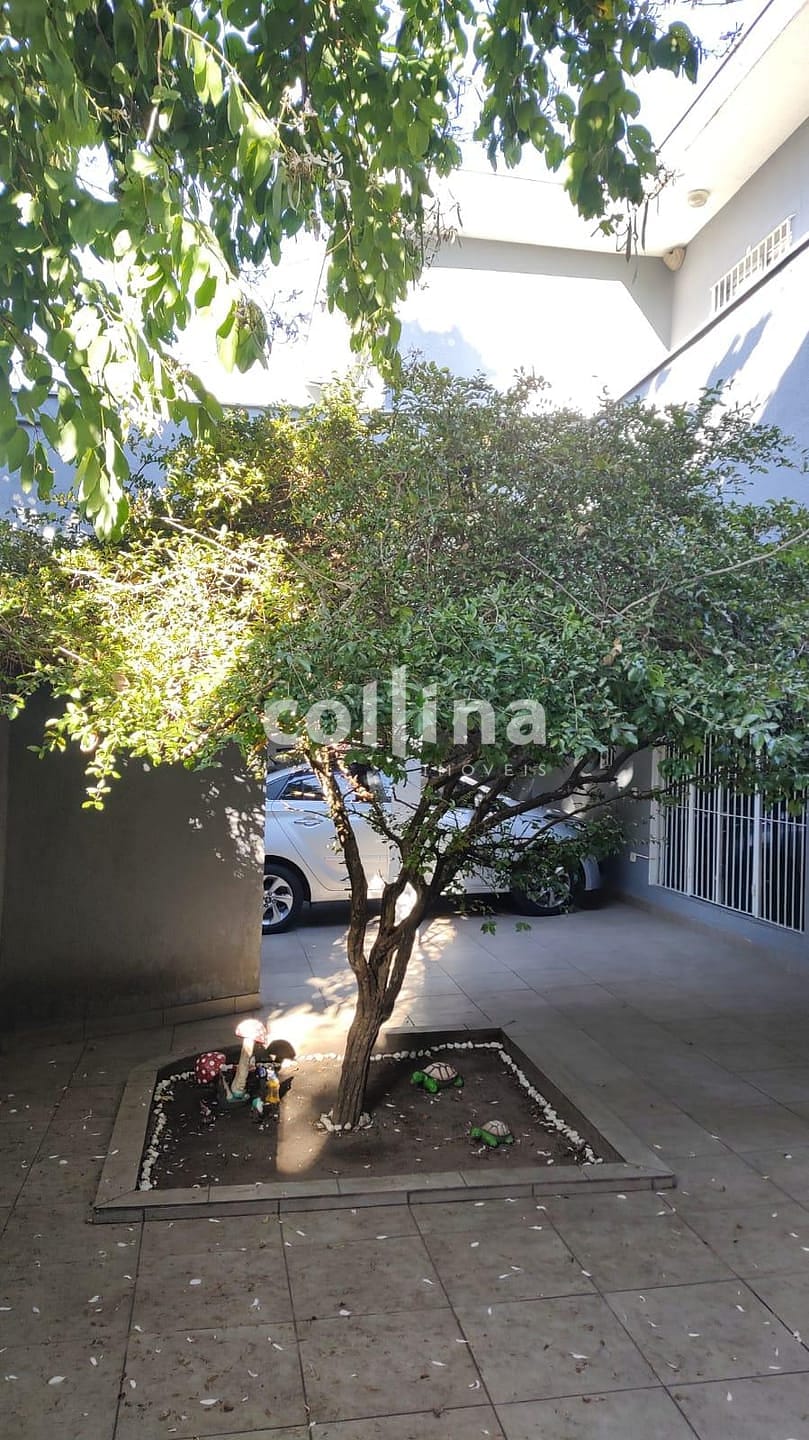 Casa, 4 quartos, 142 m² - Foto 31