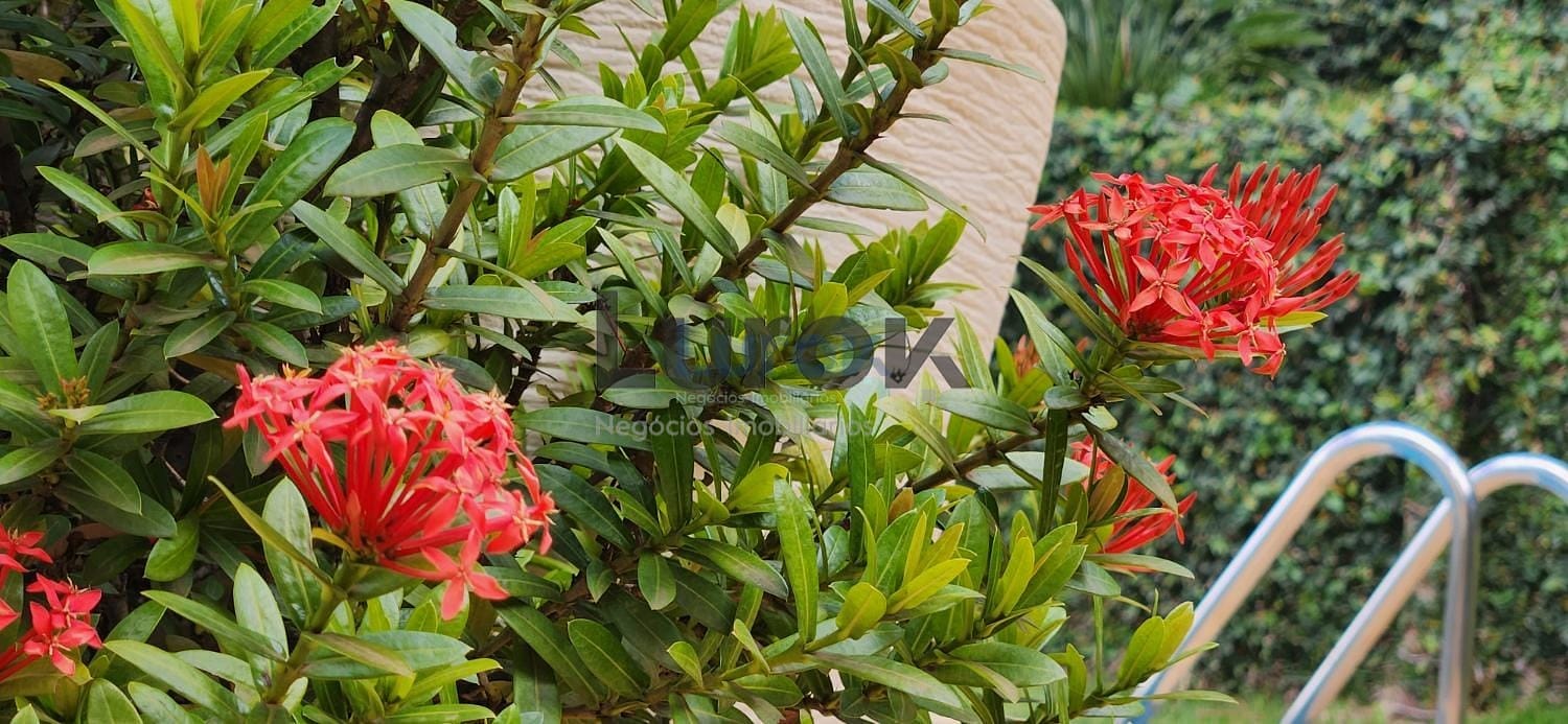 Casa, 3 quartos, 450 m² - Foto 32