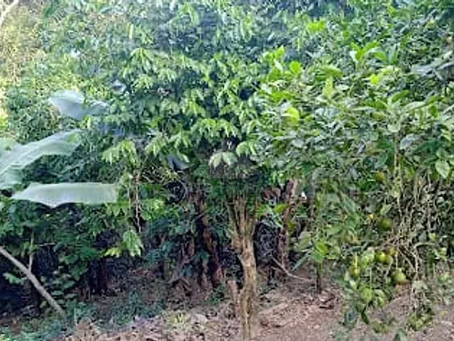 Casa com 400m² 4 quartos e 4 banheiros, à venda, no bairro Sítio Bela Vista em Mauá