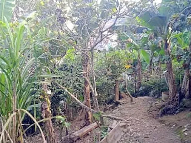 Casa com 400m² 4 quartos e 4 banheiros, à venda, no bairro Sítio Bela Vista em Mauá