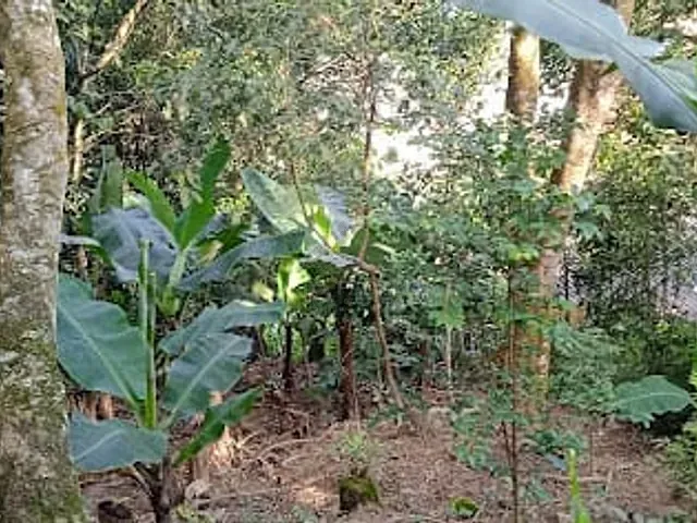 Casa com 400m² 4 quartos e 4 banheiros, à venda, no bairro Sítio Bela Vista em Mauá