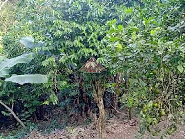 Casa com 400m² 4 quartos e 4 banheiros, à venda, no bairro Sítio Bela Vista em Mauá