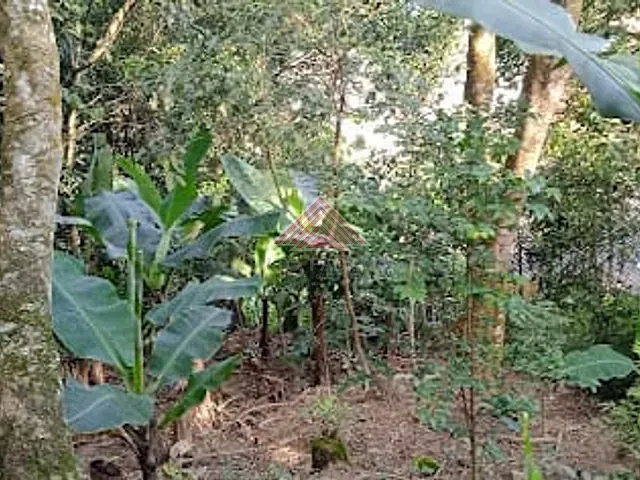 Casa com 400m² 4 quartos e 4 banheiros, à venda, no bairro Sítio Bela Vista em Mauá