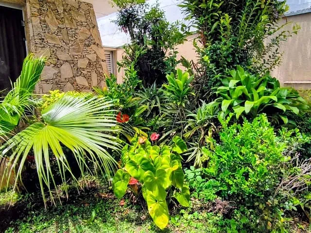 Casa 3 quartos e 5 banheiros, à venda, no bairro Olímpico em São Caetano do Sul