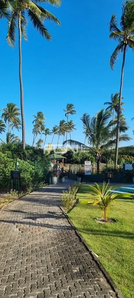 Casa, 5 quartos, 525 m² - Foto 13