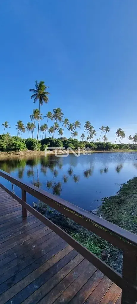 Casa, 5 quartos, 525 m² - Foto 14