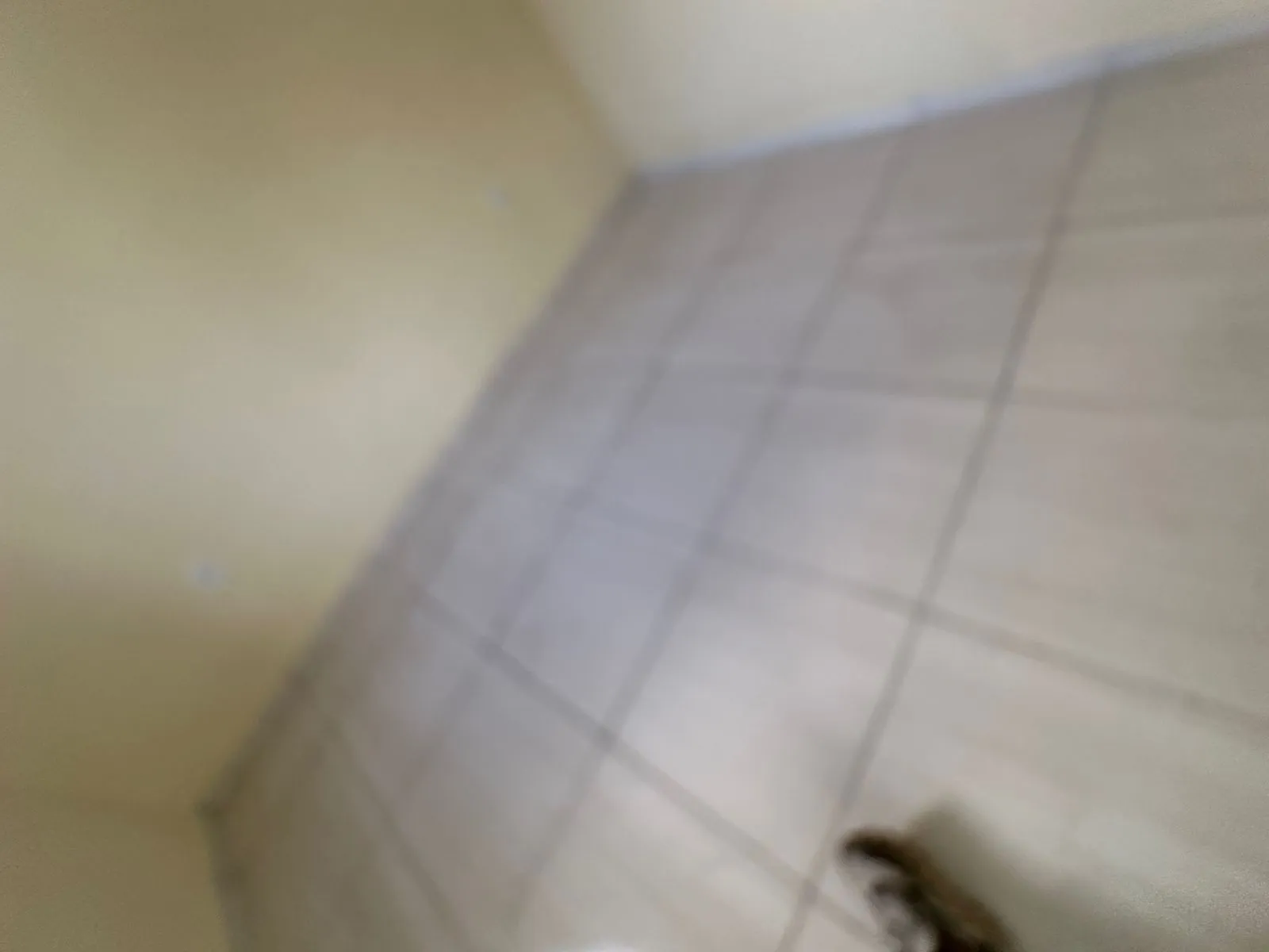 Casa, 1 quarto, 65 m² - Foto 11