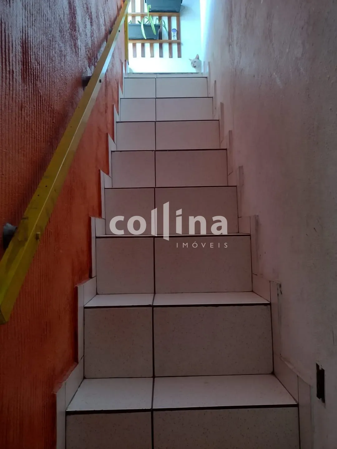 Casa, 3 quartos, 10 m² - Foto 27