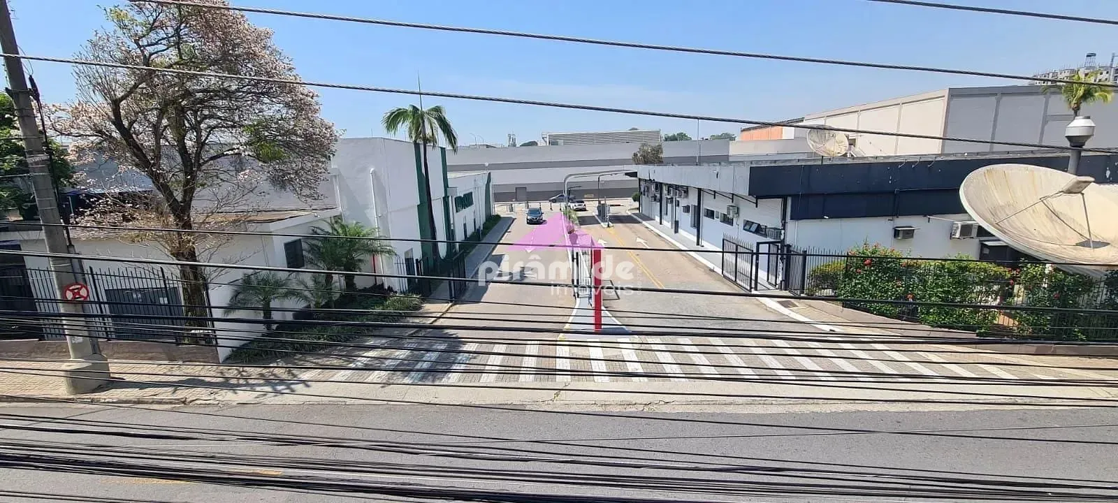 Casa, 8 quartos, 409 m² - Foto 1