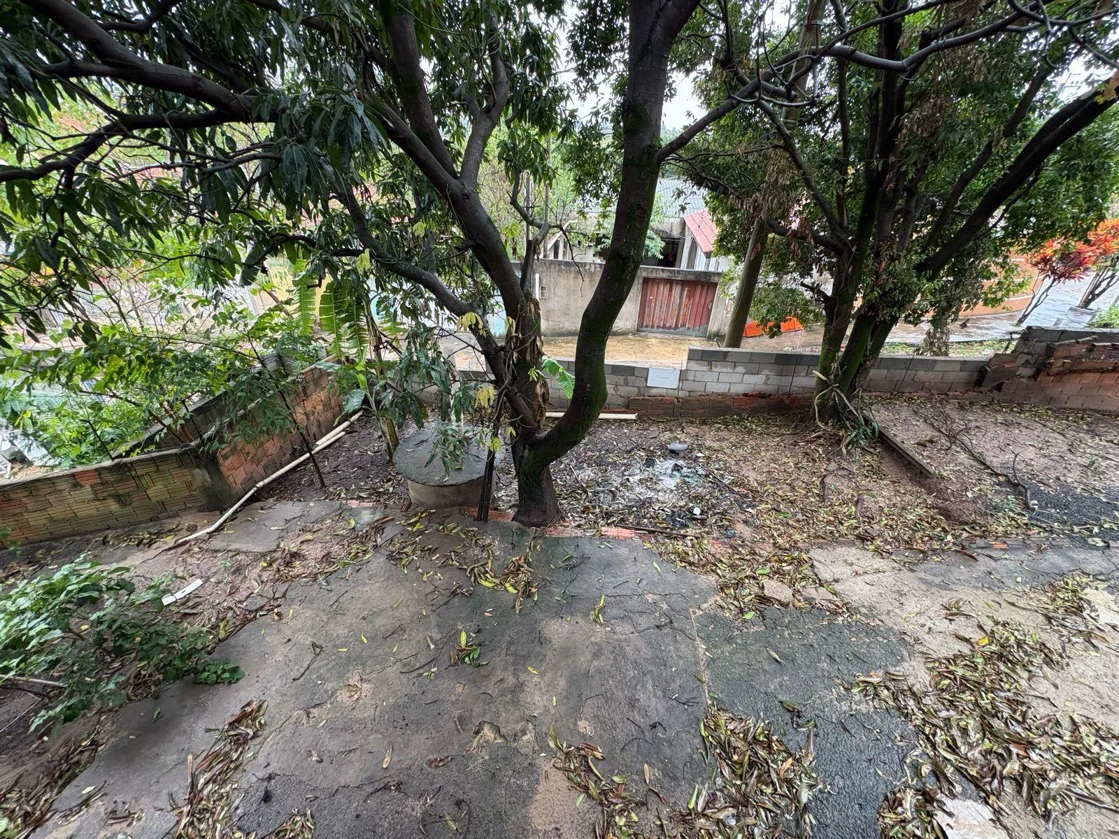 Casa, 2 quartos, 200 m² - Foto 7