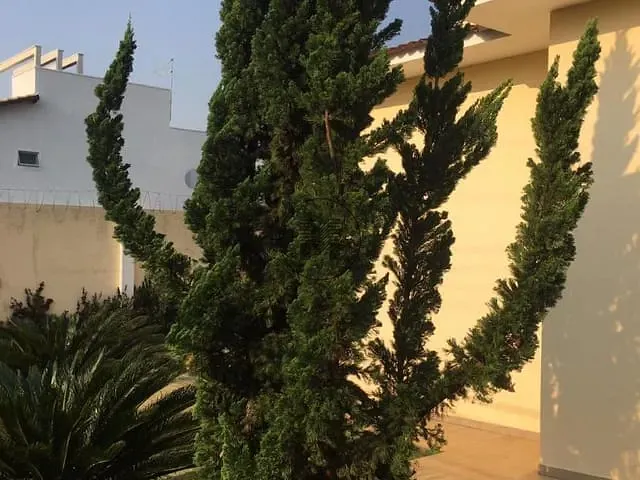Casa com 1170m² 4 quartos e 6 banheiros, à venda, no bairro Parque Residencial Mirante do Vale em Guaratinguetá