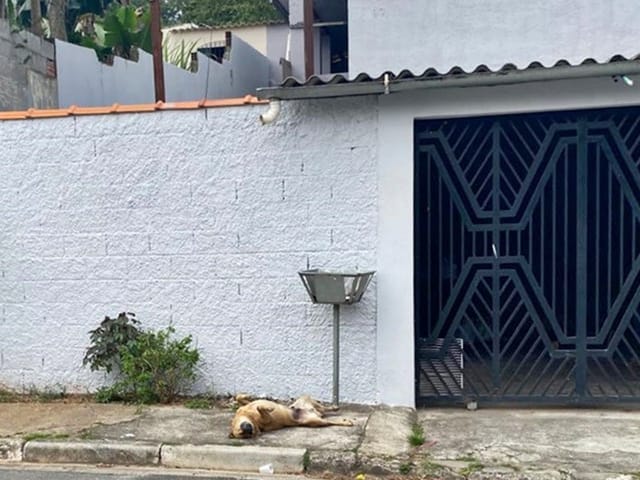 Foto do Casa - Casa para locação, Vila Pereta, Poá, SP | Villela Imóveis