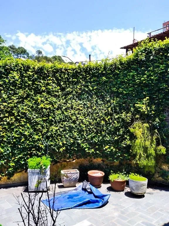 Casa, 3 quartos, 180 m² - Foto 22