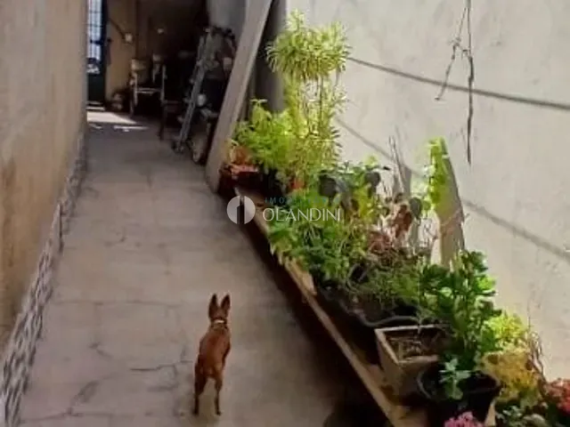 Casa com 200m² 3 quartos e 2 banheiros, à venda, no bairro Jd Vista Alegre em Artur Nogueira