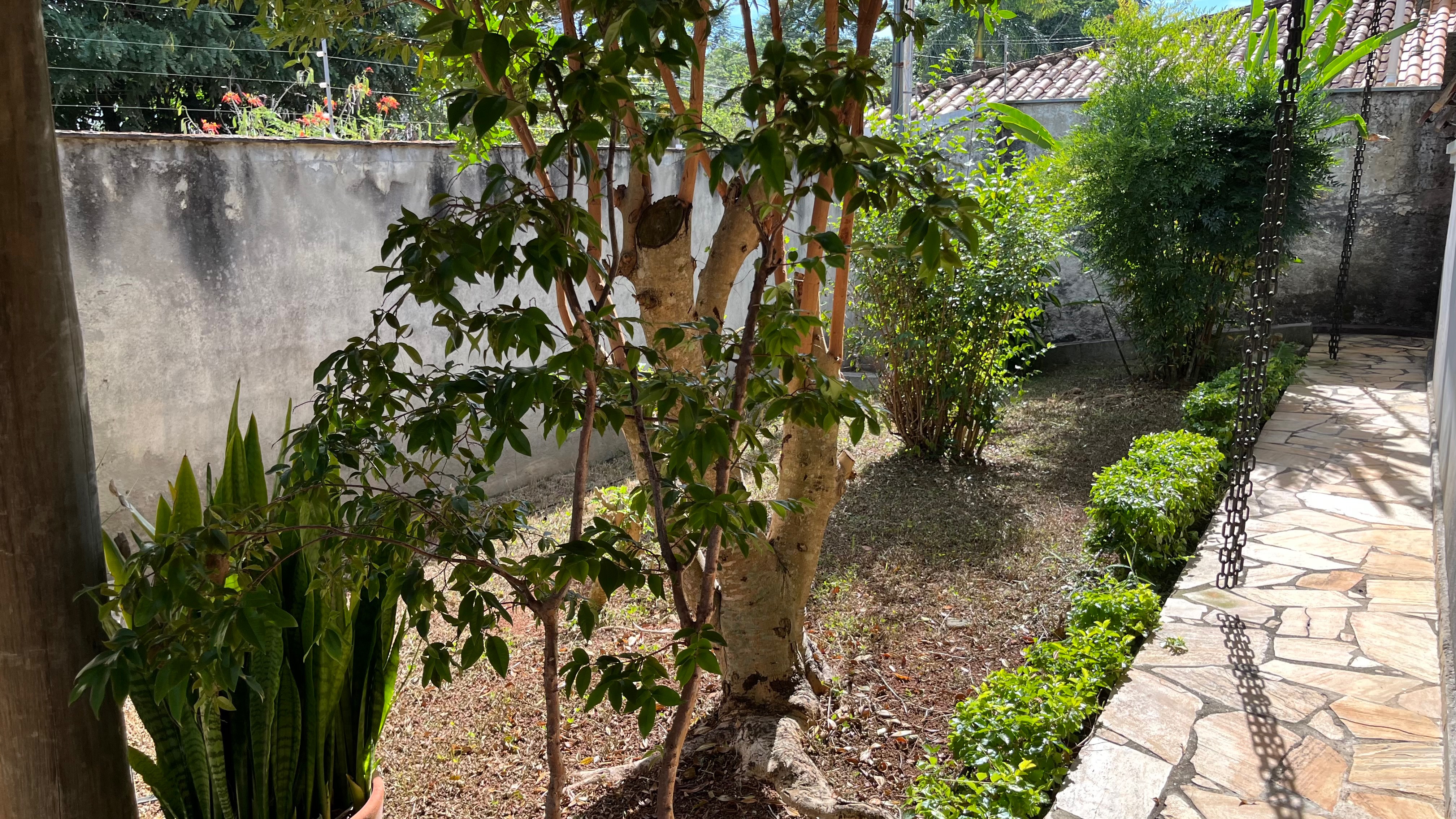Casa, 3 quartos, 244 m² - Foto 48