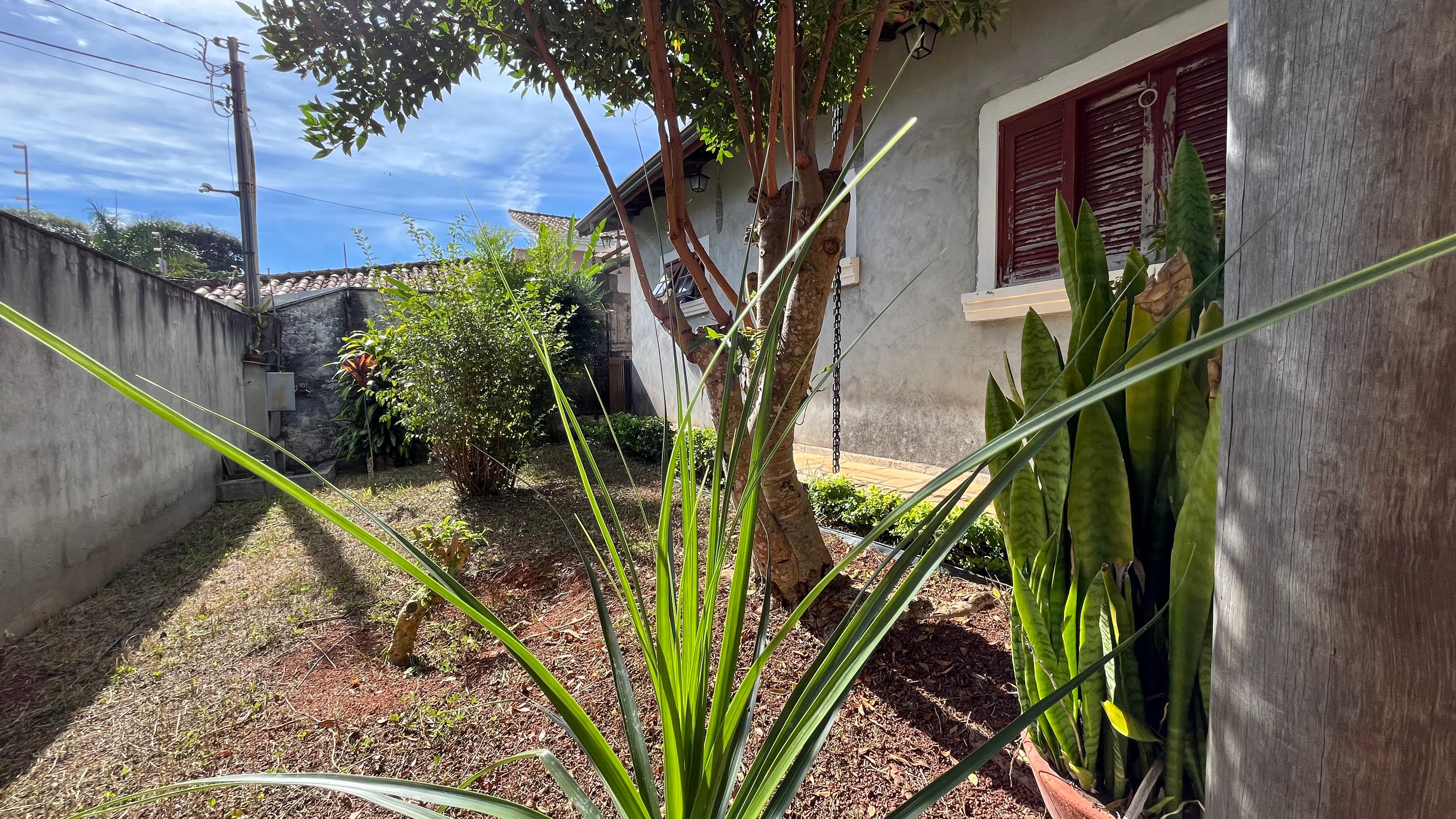 Casa, 3 quartos, 244 m² - Foto 6