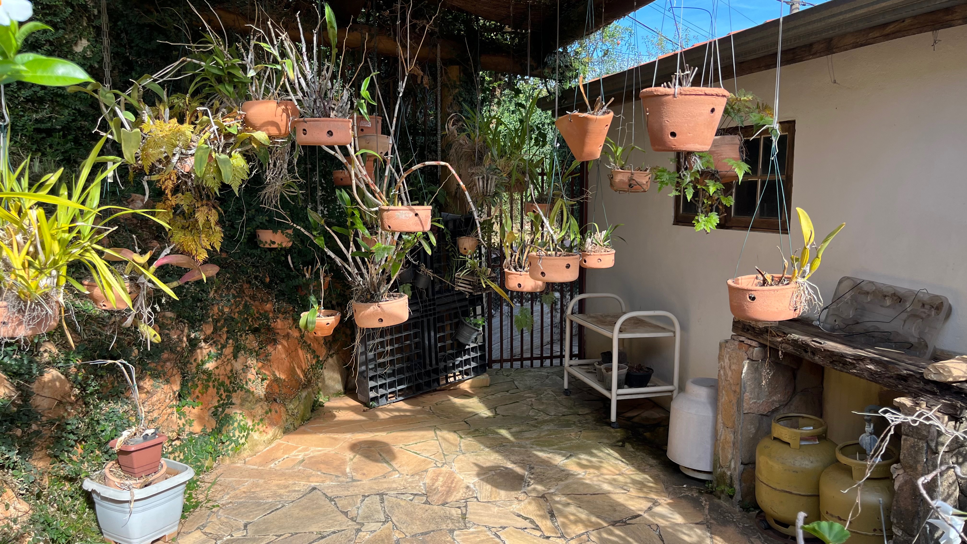 Casa, 3 quartos, 244 m² - Foto 27