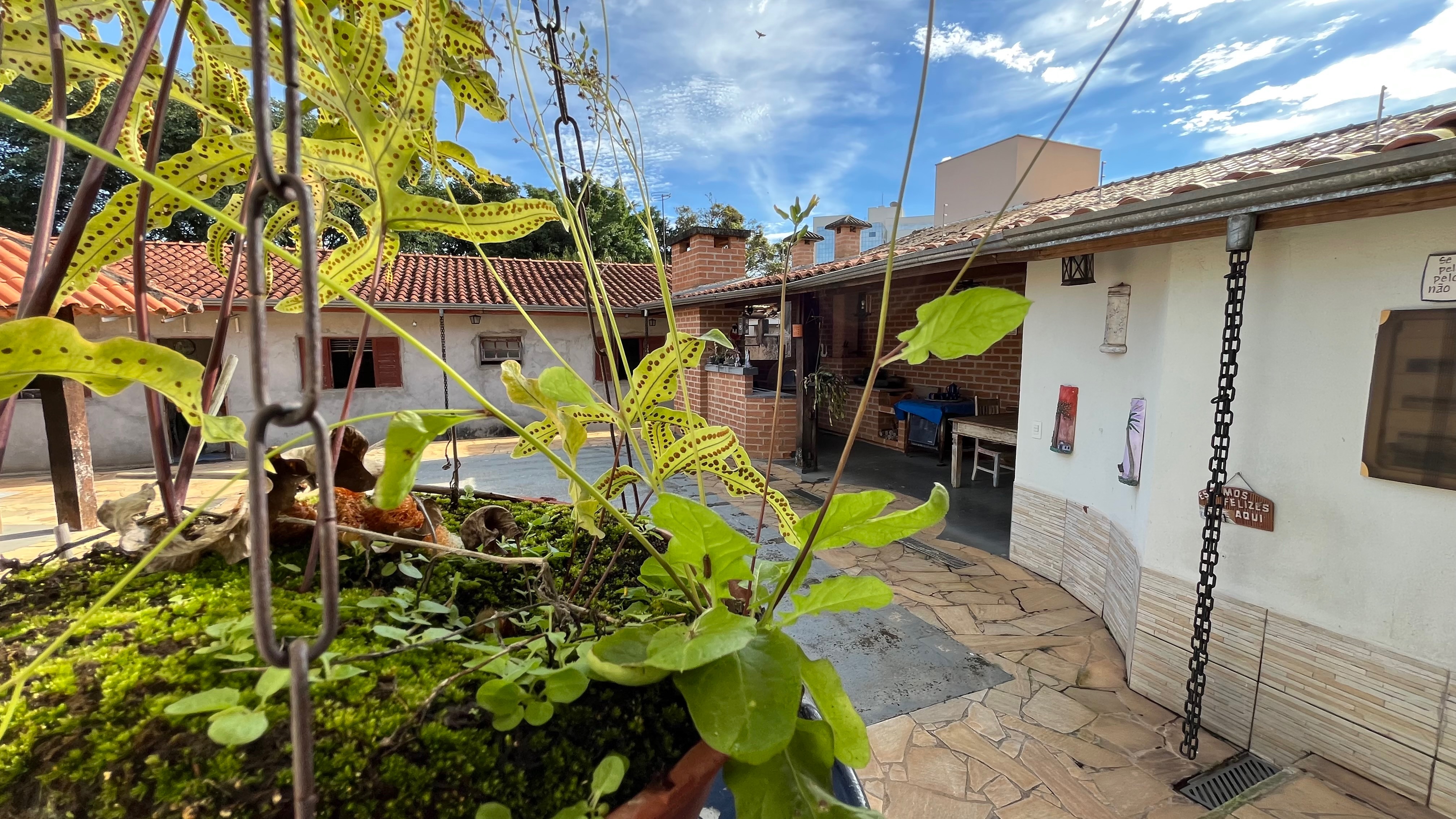 Casa, 3 quartos, 244 m² - Foto 40