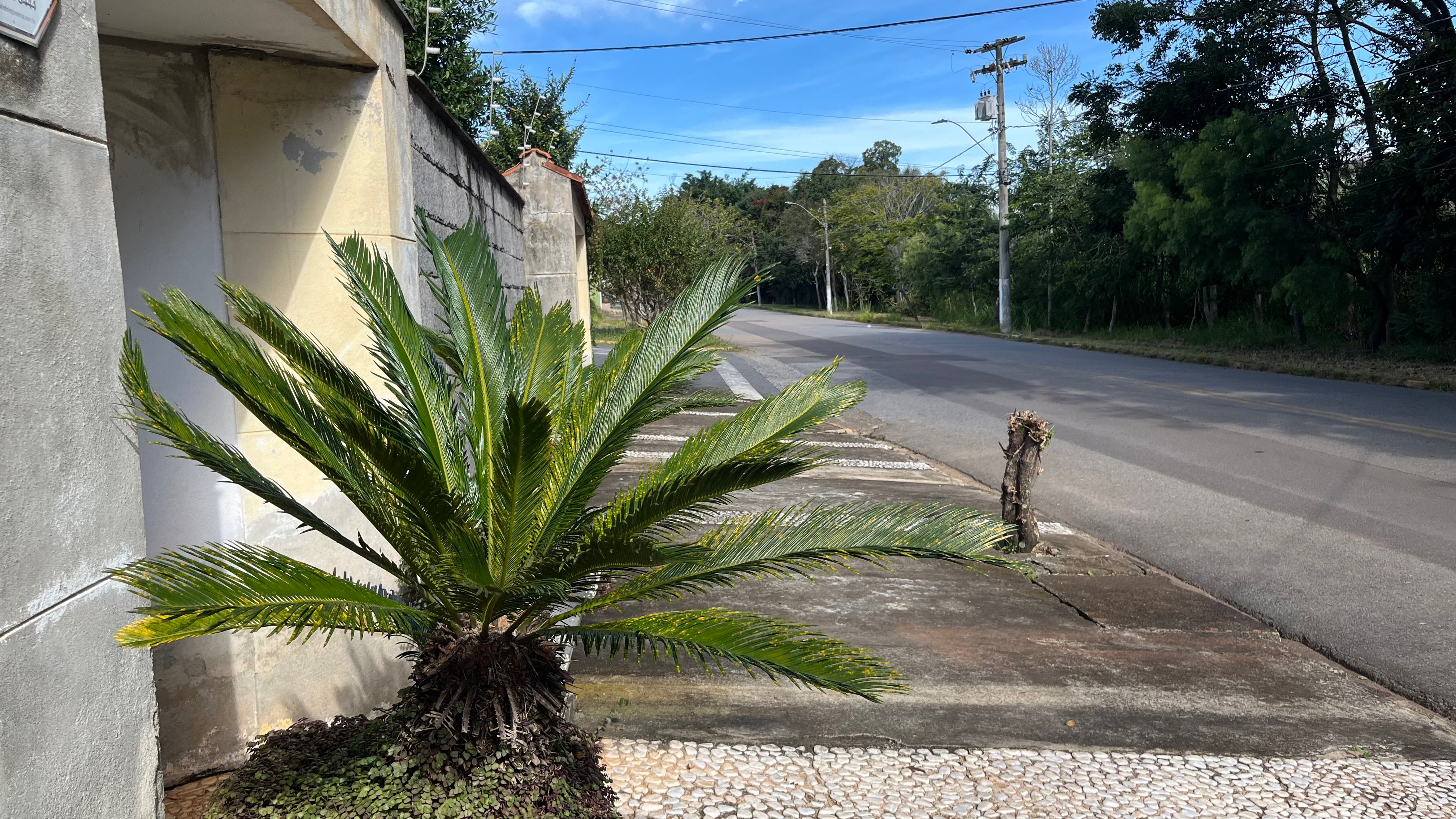 Casa, 3 quartos, 244 m² - Foto 4