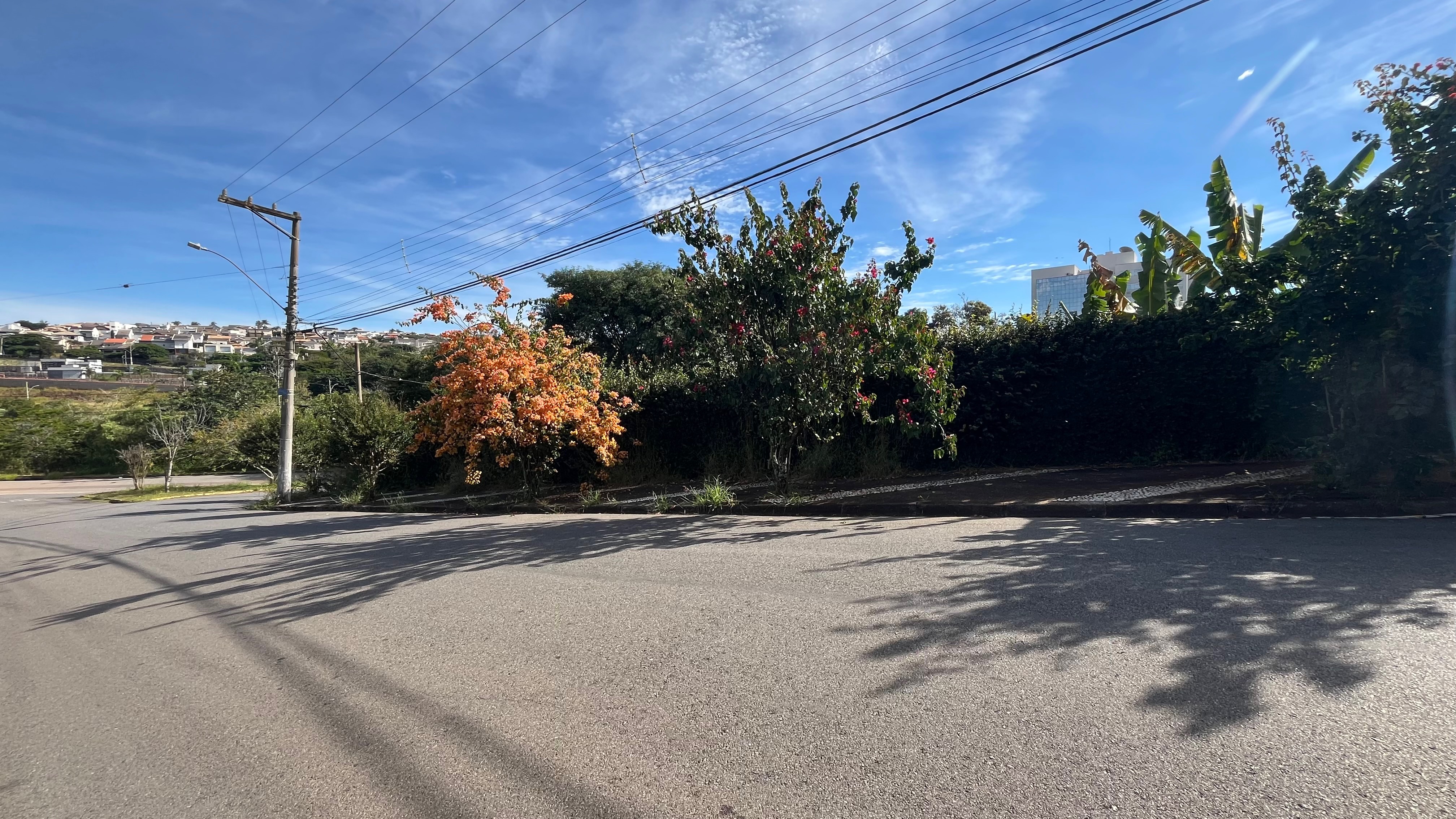 Casa, 3 quartos, 244 m² - Foto 51