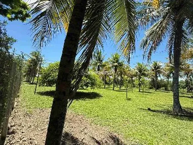 Casa com 12000m² 4 quartos e 5 banheiros, à venda, no bairro Espinho, distrito de São Sebastião de

Campos em Campos dos Goytacazes