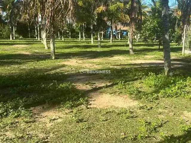 Casa com 12000m² 4 quartos e 5 banheiros, à venda, no bairro Espinho, distrito de São Sebastião de

Campos em Campos dos Goytacazes