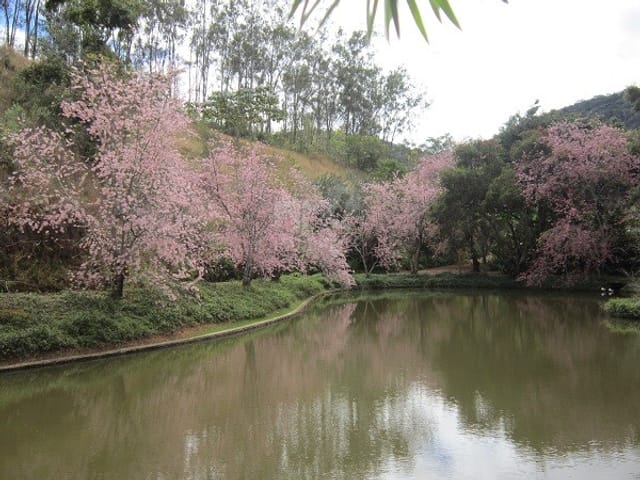 Casa com 60000m² 7 quartos e 1 banheiro, à venda, no bairro Pedro do Rio em Petrópolis
