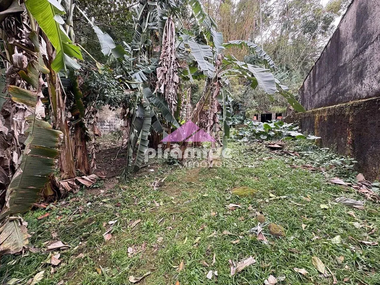 Casa, 4 quartos, 300 m² - Foto 16